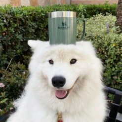 Stanley The Legendary Camp Mug 0,35L - Beker - Hammertone Green -Bestek Winkel 1200x1199