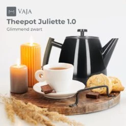 Vaja® Theepot Juliette Met Filter - Dubbelwandig -Theekan 1.0L - Glimmend Zwart -Bestek Winkel 1200x1200 814