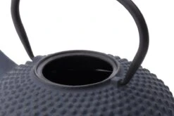 Bredemeijer - Theepot Xilin 1,25L Gietijzer Blauw 11 Bredemeijer - Theepot Xilin 1,25L Gietijzer Blauw -Bestek Winkel 1200x800 128