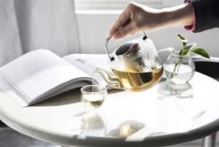 Viva Scandinavia Bjorn Theepot - Glas - Met Filter - 1,2 L - Transparant -Bestek Winkel 1200x807 3